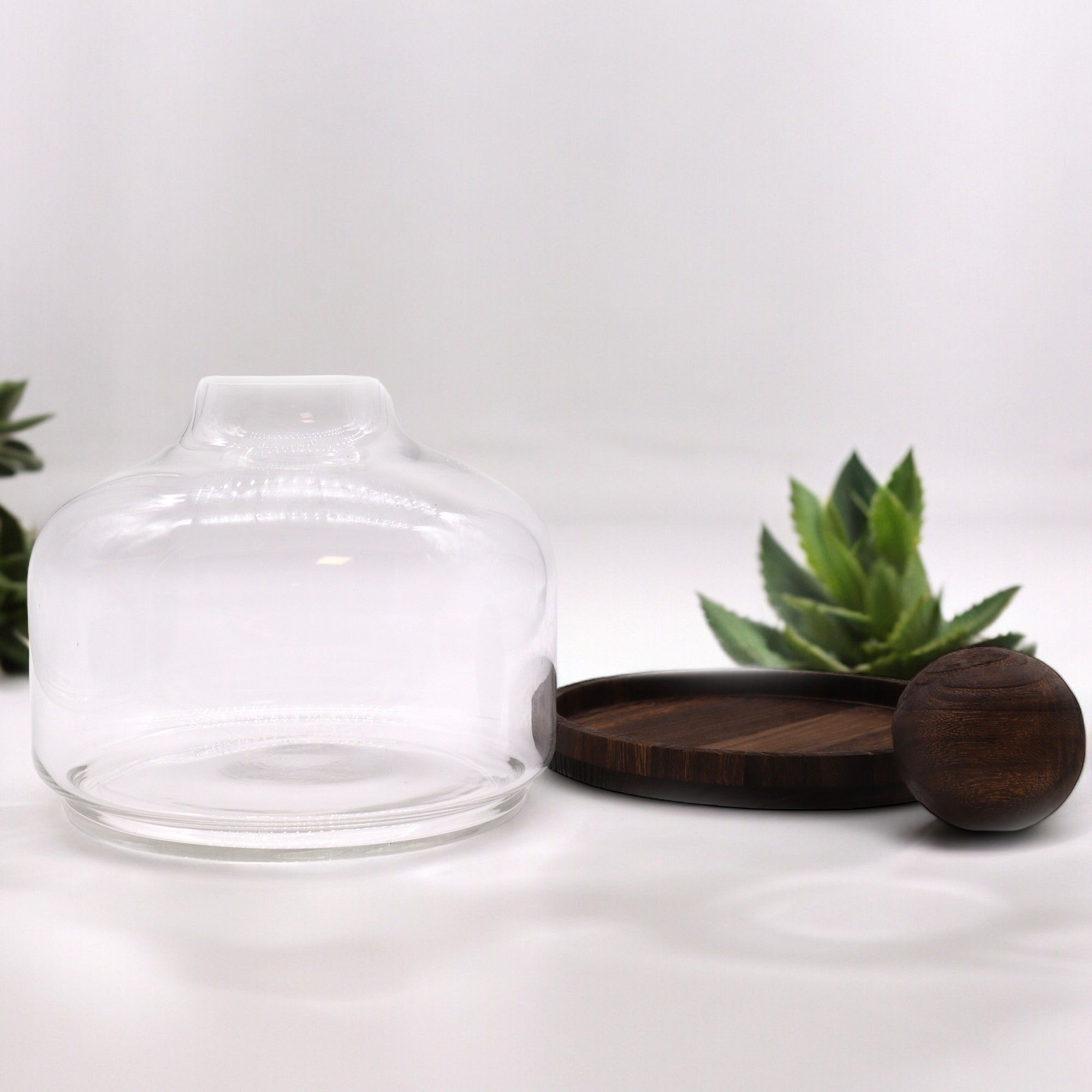 Ex-Large Ball Top Terrarium on Dark Tung Wood